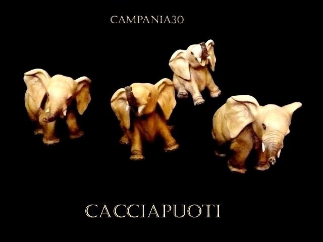CRE49 - ELEFANTINI GUIDO CACCIAPUOTI - LE COLLEZIONI  DI CAMPANIA30